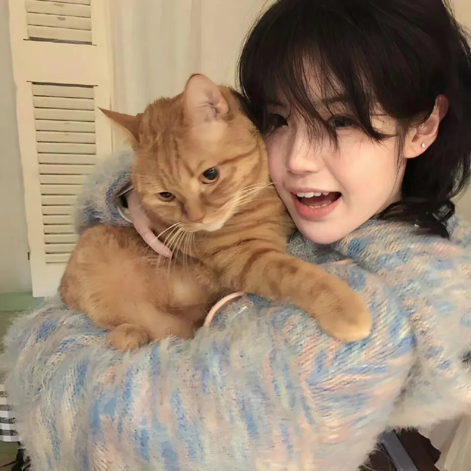降龙大师:猎龙队